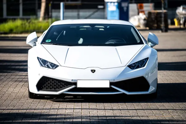 Casino Dogs Fortune Android/iOS rakendus